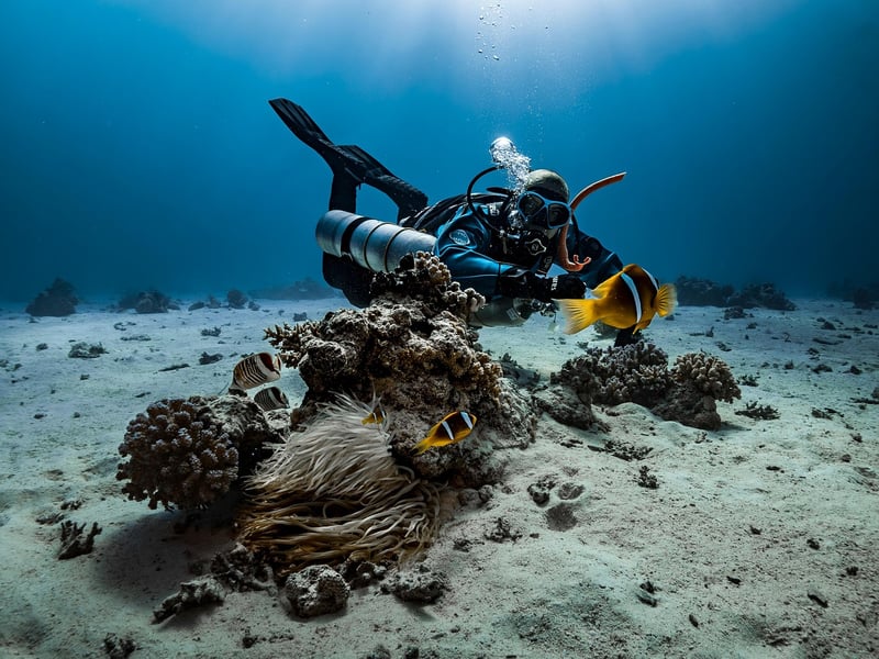 Scuba Diving Adventure